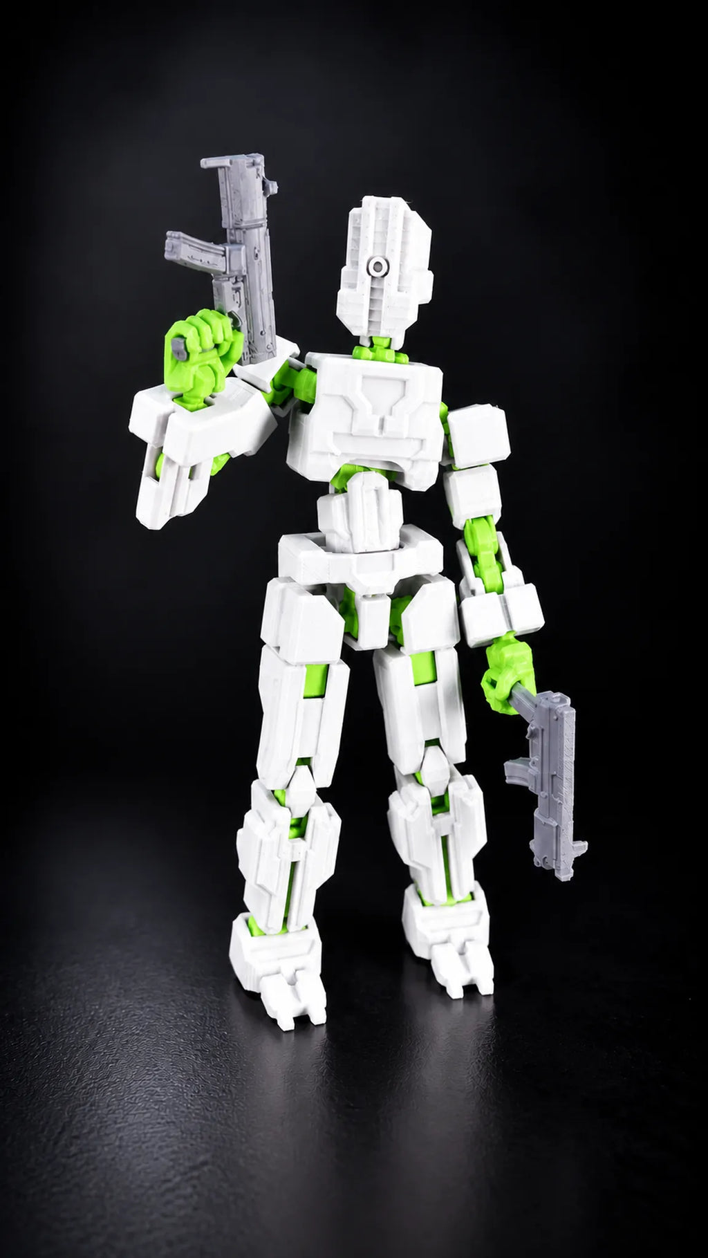 Dummy Sentinel 13